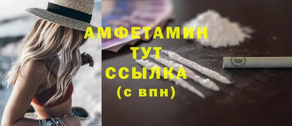 ПСИЛОЦИБИНОВЫЕ ГРИБЫ Гусев
