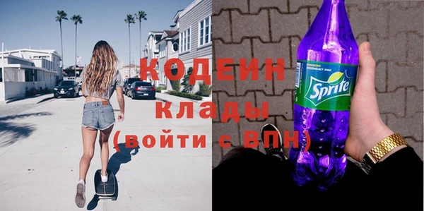 ПСИЛОЦИБИНОВЫЕ ГРИБЫ Гусев