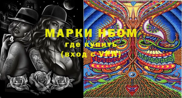 дмт Горняк
