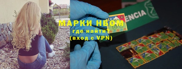 ПСИЛОЦИБИНОВЫЕ ГРИБЫ Гусев